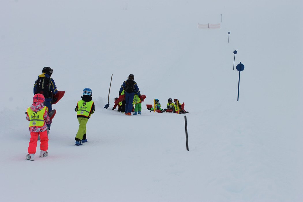 Arlberg SafariArlberg Safari